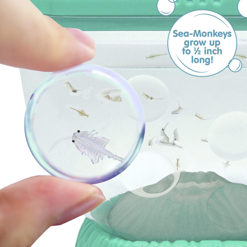 Sea-Monkeys Ocean Volcano - US 5409